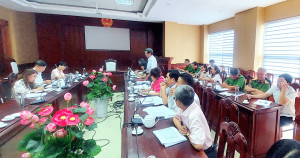 Đoàn kiểm tra làm việc với UBND thành phố Quy Nhơn