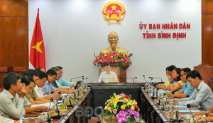 (Các đại biểu tham dự Hội nghị tại điểm cầu tỉnh Bình Định)