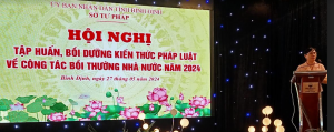  Đồng chí Châu Thị Hương Lan - Phó Giám đốc Sở Tư pháp Bình Định phát biểu khai mạc