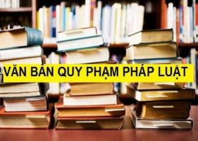 Tài liệu hướng dẫn xây dựng kế hoạch và thực hiện hệ thống hóa văn bản  kỳ 2019 - 2023